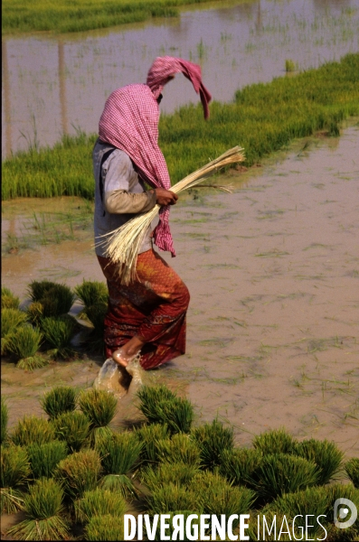 Cambodge