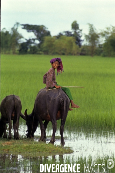 Cambodge