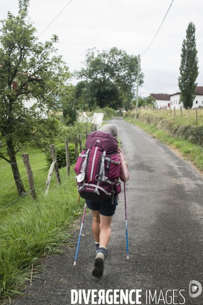 Sur les chemins de saint-jacques