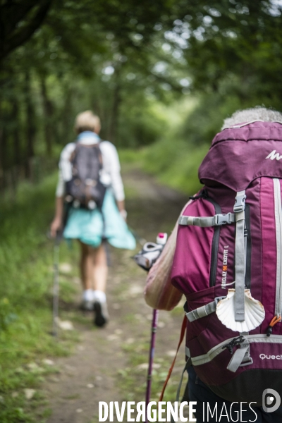 Sur les chemins de saint-jacques