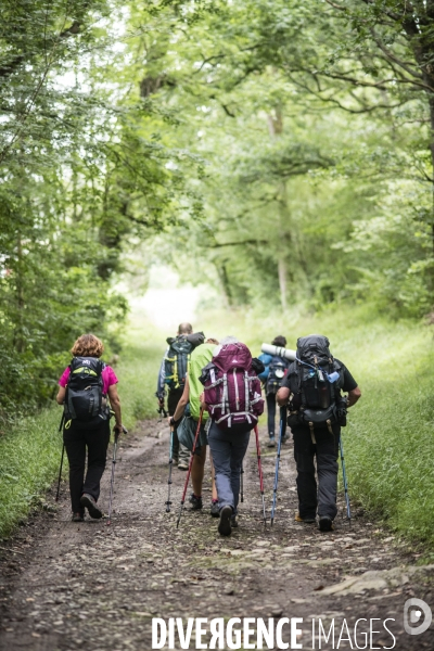 Sur les chemins de saint-jacques