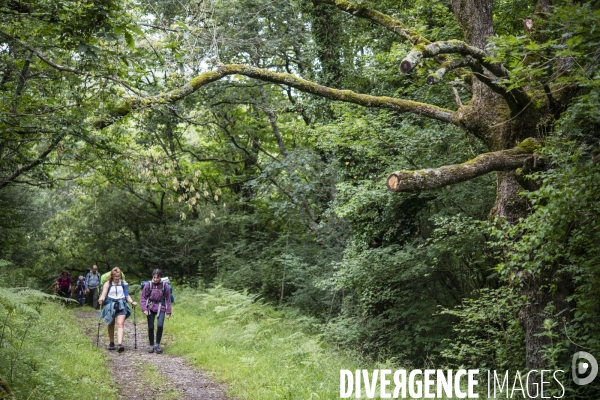 Sur les chemins de saint-jacques