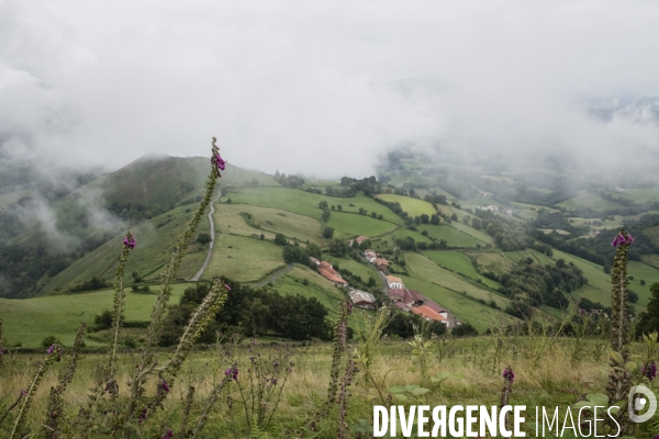 Sur les chemins de saint-jacques-de-compostelle