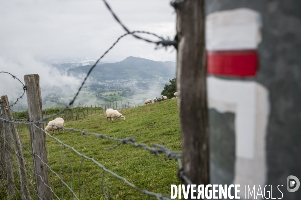 Sur les chemins de saint-jacques-de-compostelle