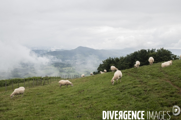 Sur les chemins de saint-jacques-de-compostelle