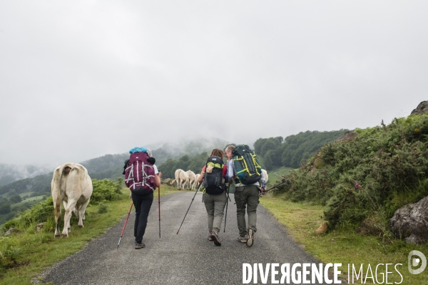 Sur les chemins de saint-jacques-de-compostelle