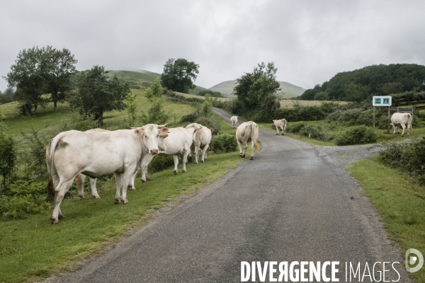 Sur les chemins de saint-jacques-de-compostelle