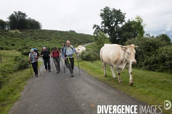 Sur les chemins de saint-jacques-de-compostelle