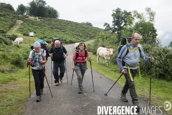 Sur les chemins de saint-jacques-de-compostelle