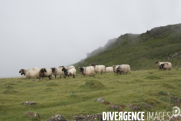 Sur les chemins de saint-jacques-de-compostelle