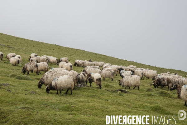 Sur les chemins de saint-jacques-de-compostelle