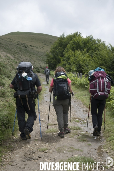 Sur les chemins de saint-jacques-de-compostelle