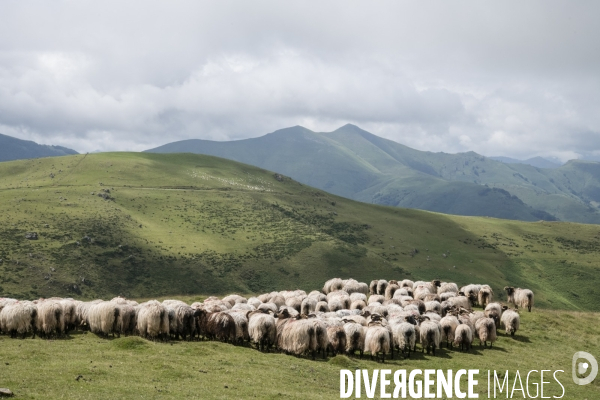 Sur les chemins de saint-jacques-de-compostelle