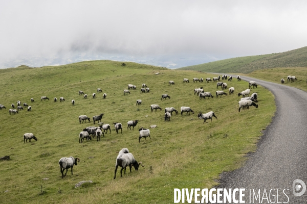 Sur les chemins de saint-jacques-de-compostelle