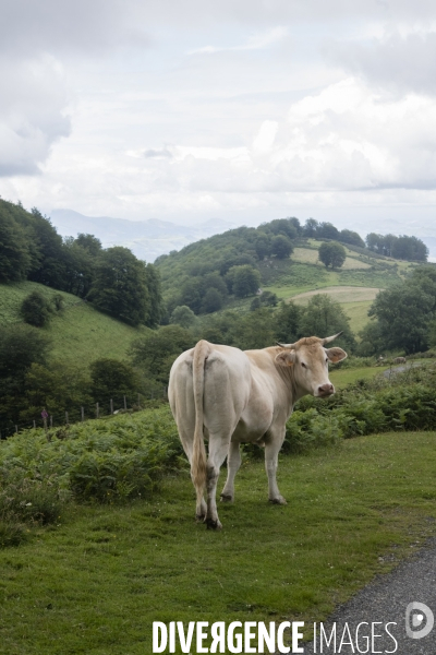 Sur les chemins de saint-jacques-de-compostelle