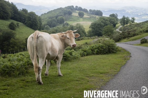 Sur les chemins de saint-jacques-de-compostelle