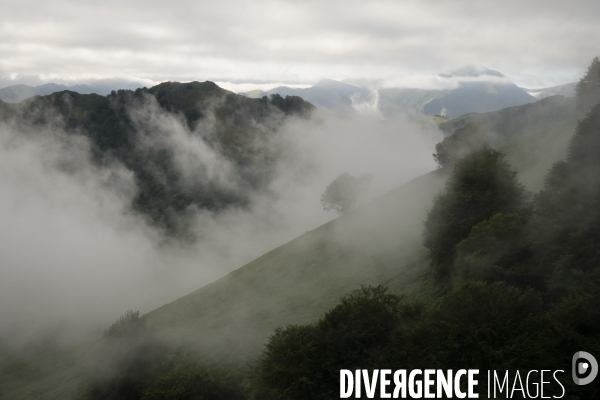 Sur les chemins de saint-jacques-de-compostelle