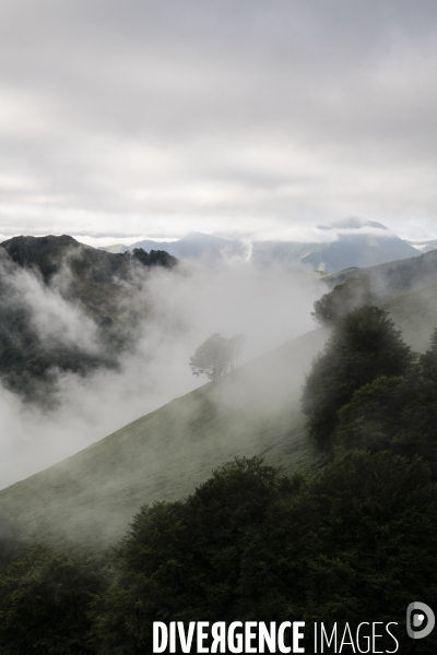 Sur les chemins de saint-jacques-de-compostelle