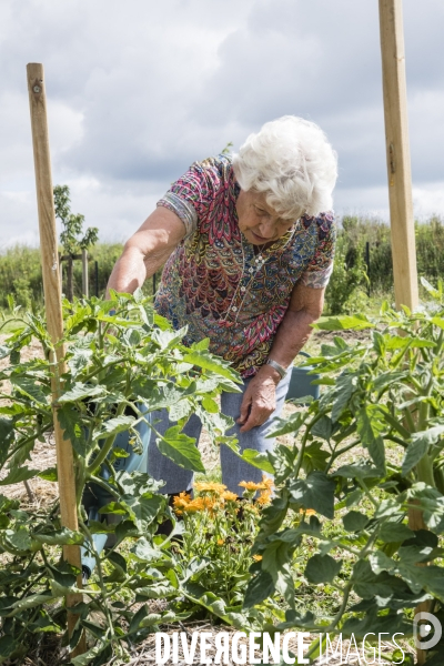 Village Alzheimer de Dax