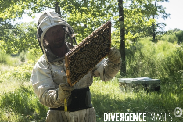 L apiculteur du bout du monde