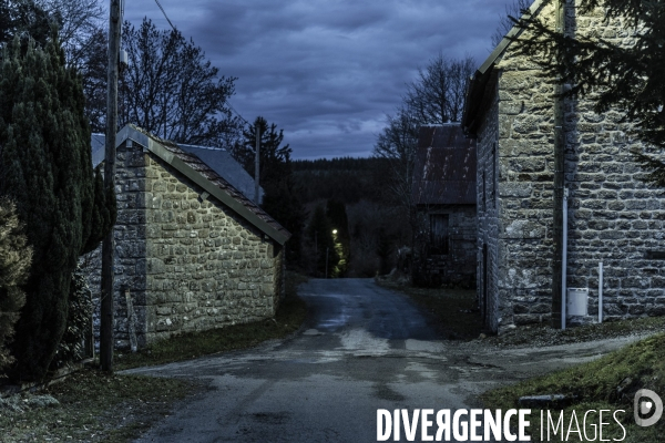 Entre chien et loup