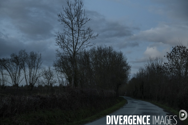 Entre chien et loup