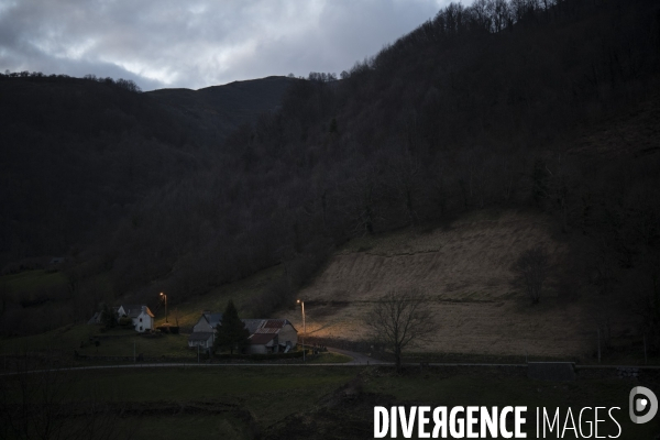 Entre chien et loup