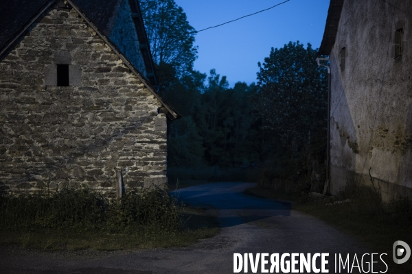 Entre chien et loup