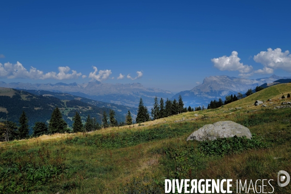 Chemin de randonnée dans les Alpes