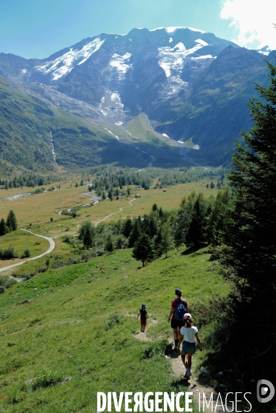 Chemin de randonnée dans les Alpes