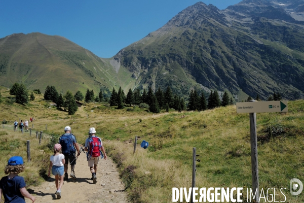 Chemin de randonnée dans les Alpes