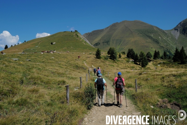 Chemin de randonnée dans les Alpes