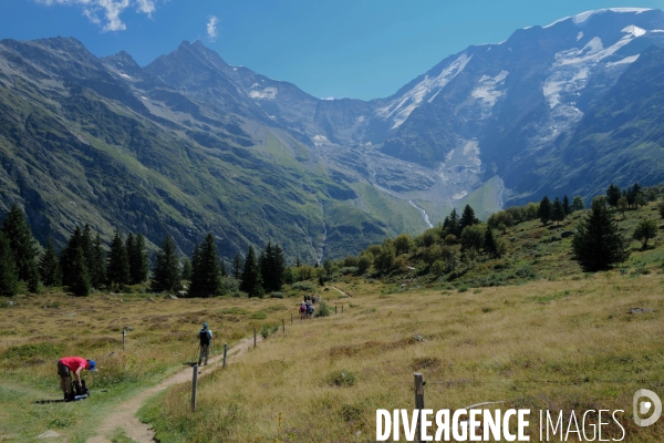 Chemin de randonnée dans les Alpes