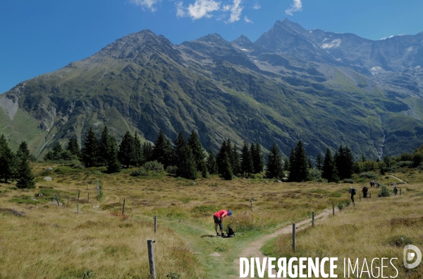 Chemin de randonnée dans les Alpes