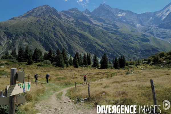 Chemin de randonnée dans les Alpes