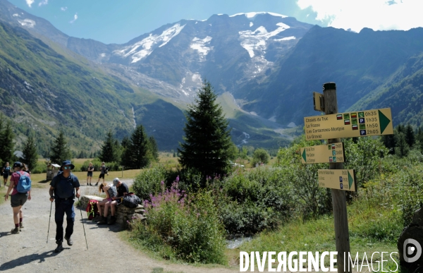 Chemin de randonnée dans les Alpes