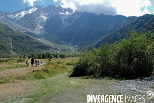 Chemin de randonnée dans les Alpes