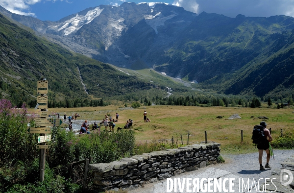 Chemin de randonnée dans les Alpes