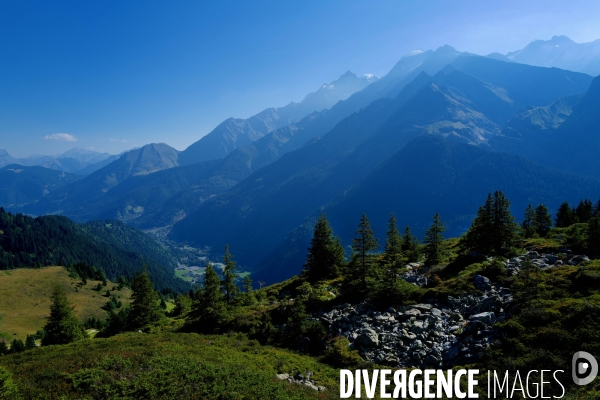 Chemin de randonnée dans les Alpes