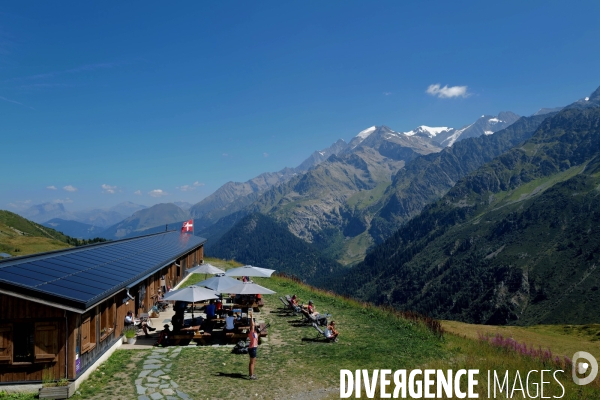 Chemin de randonnée dans les Alpes