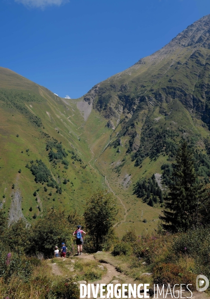 Chemin de randonnée dans les Alpes