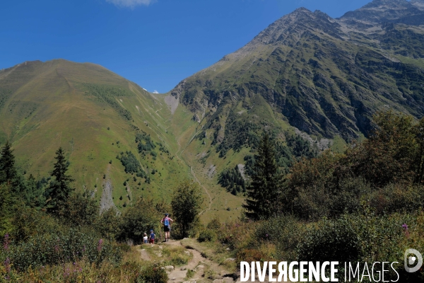 Chemin de randonnée dans les Alpes