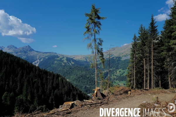 Chemin de randonnée dans les Alpes