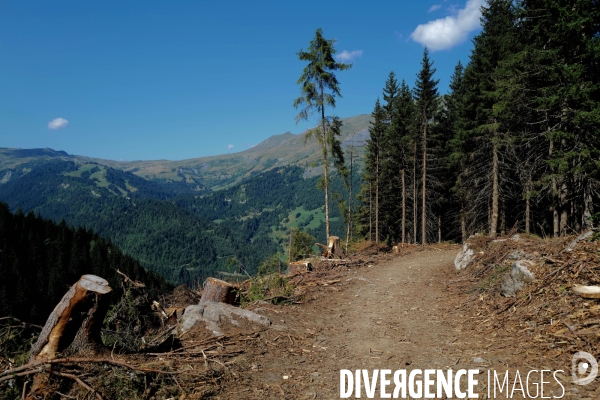 Chemin de randonnée dans les Alpes