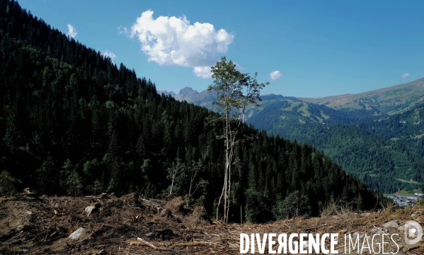 Chemin de randonnée dans les Alpes