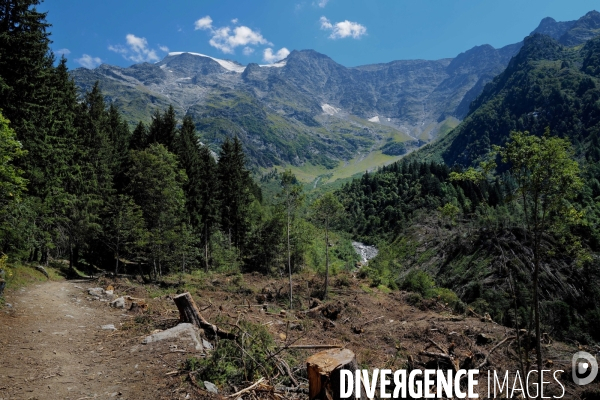 Chemin de randonnée dans les Alpes