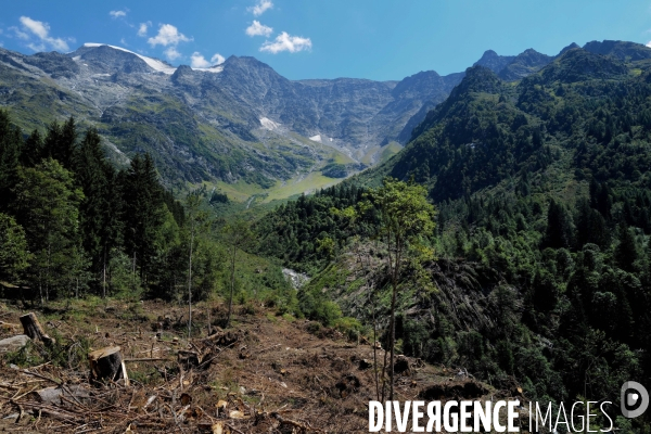 Chemin de randonnée dans les Alpes