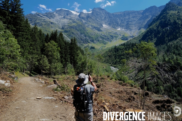 Chemin de randonnée dans les Alpes