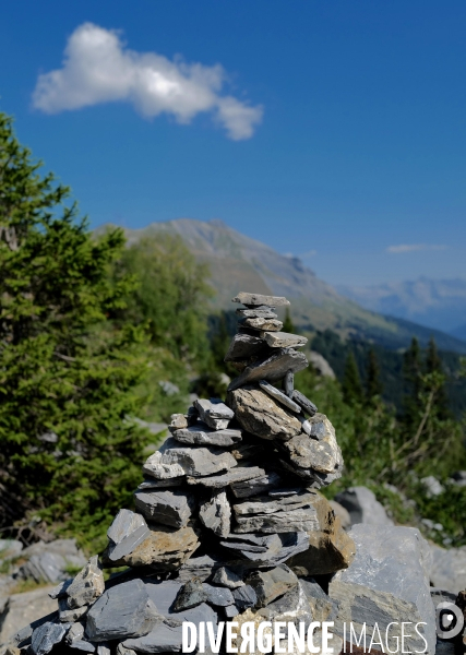 Chemin de randonnée dans les Alpes