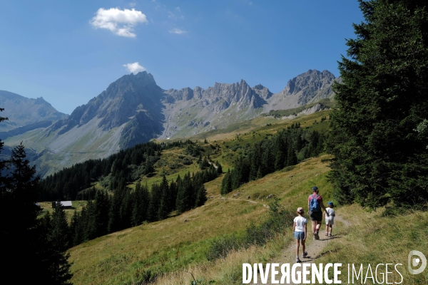 Chemin de randonnée dans les Alpes